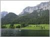 Zauberwald am Hintersee